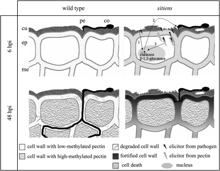 Figure 9.