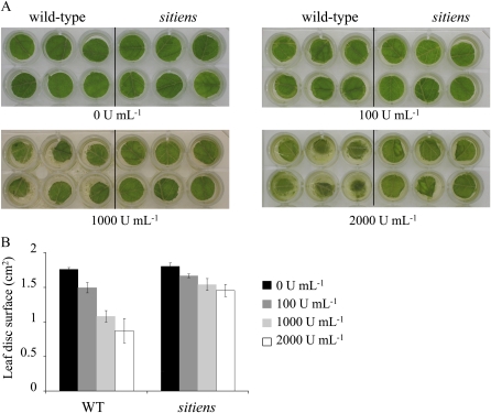 Figure 6.