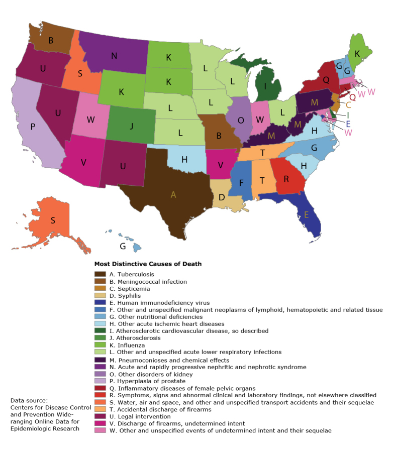 This map is of the 50 United States plus the District of Columbia, color-coded by the most distinctive causes of death for each state. Twenty-three different causes of death were identified. The most common was “other and unspecified acute lower respiratory infections,” seen in 6 states (Iowa, Kansas, Minnesota, Nebraska, Ohio, and Wisconsin).