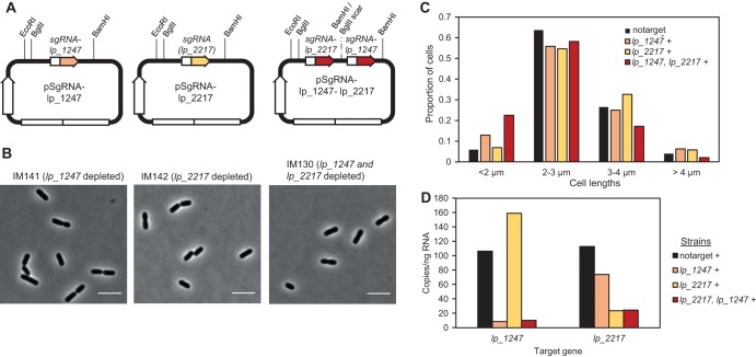 FIG 6