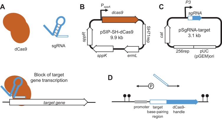 FIG 1