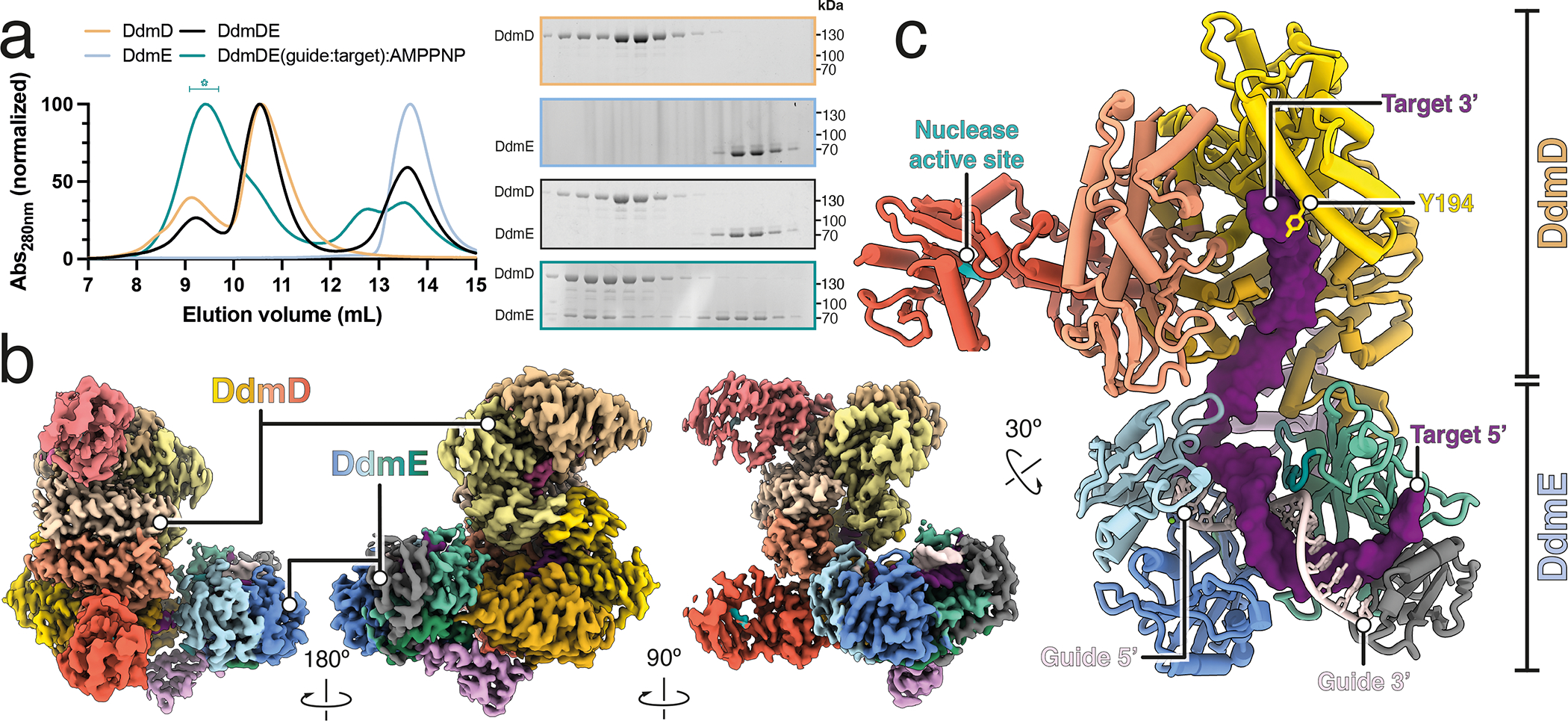 Fig 3.