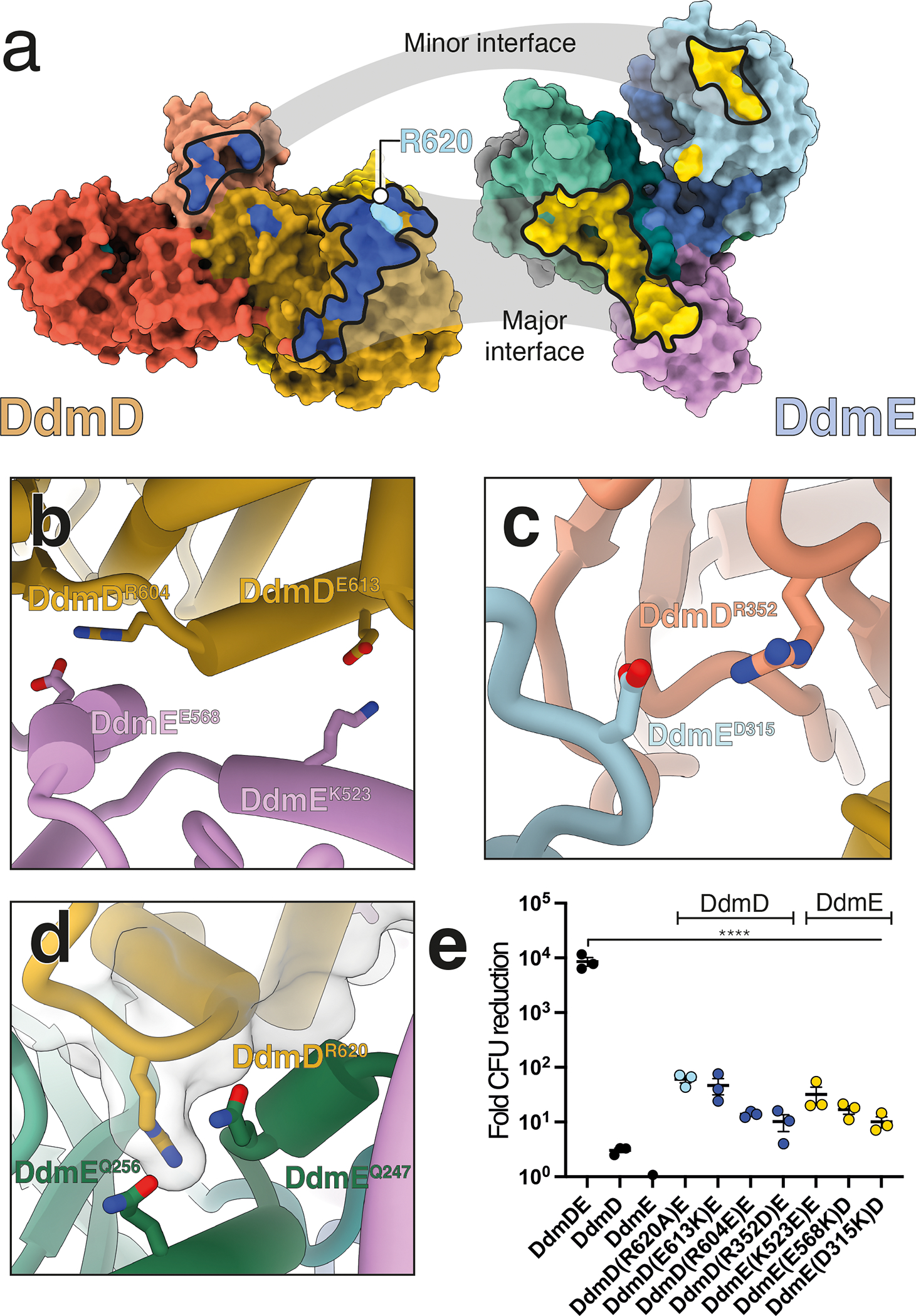 Fig 4.
