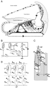 FIG. 1