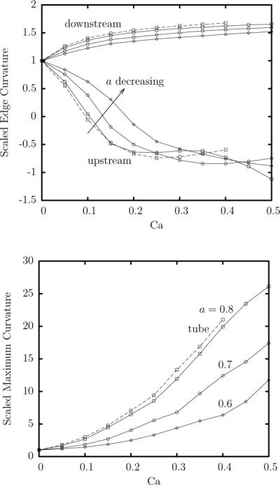 FIG. 6