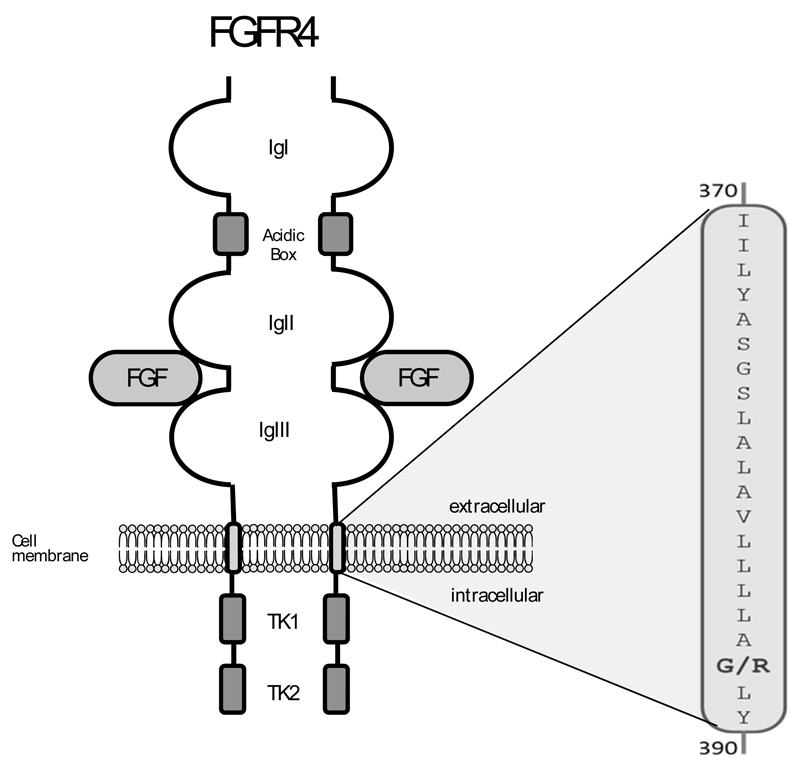 Fig. (4)