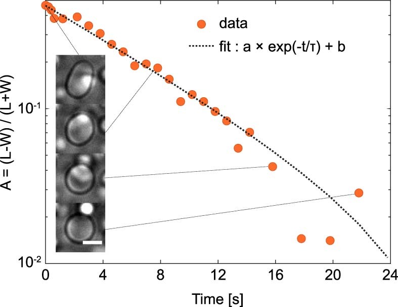 Extended Data Fig. 10