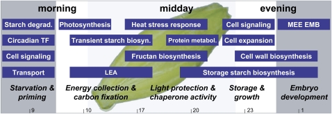 Figure 10.