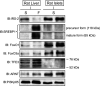 FIG. 6.