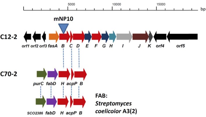 FIGURE 2