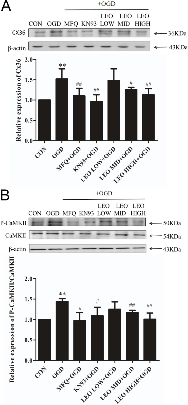 Fig 5