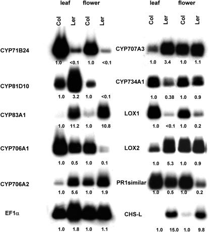 Figure 6.