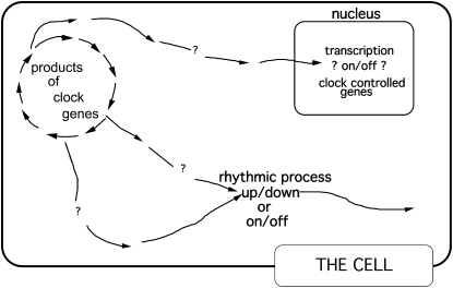 Figure 1.—