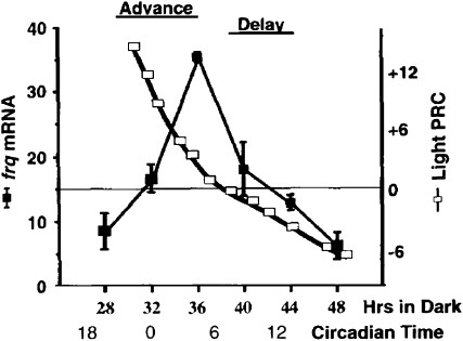 Figure 3.—