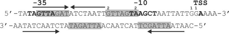 Fig 1
