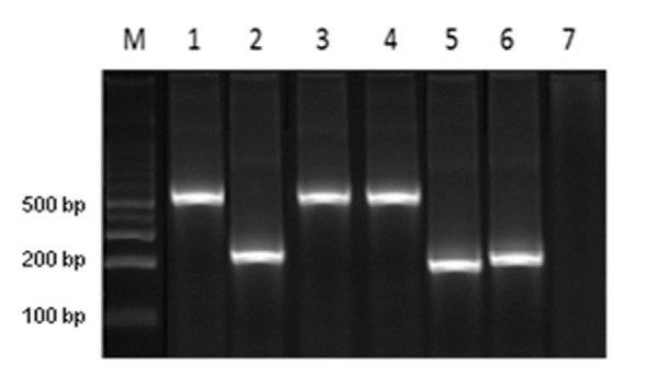 Fig. 1: