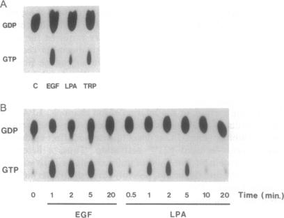 graphic file with name pnas01102-0129-a.jpg