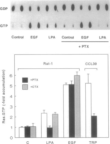 graphic file with name pnas01102-0130-a.jpg