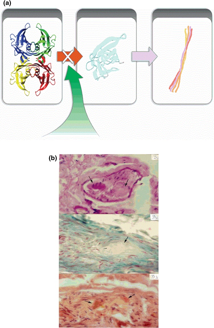 Fig. 2