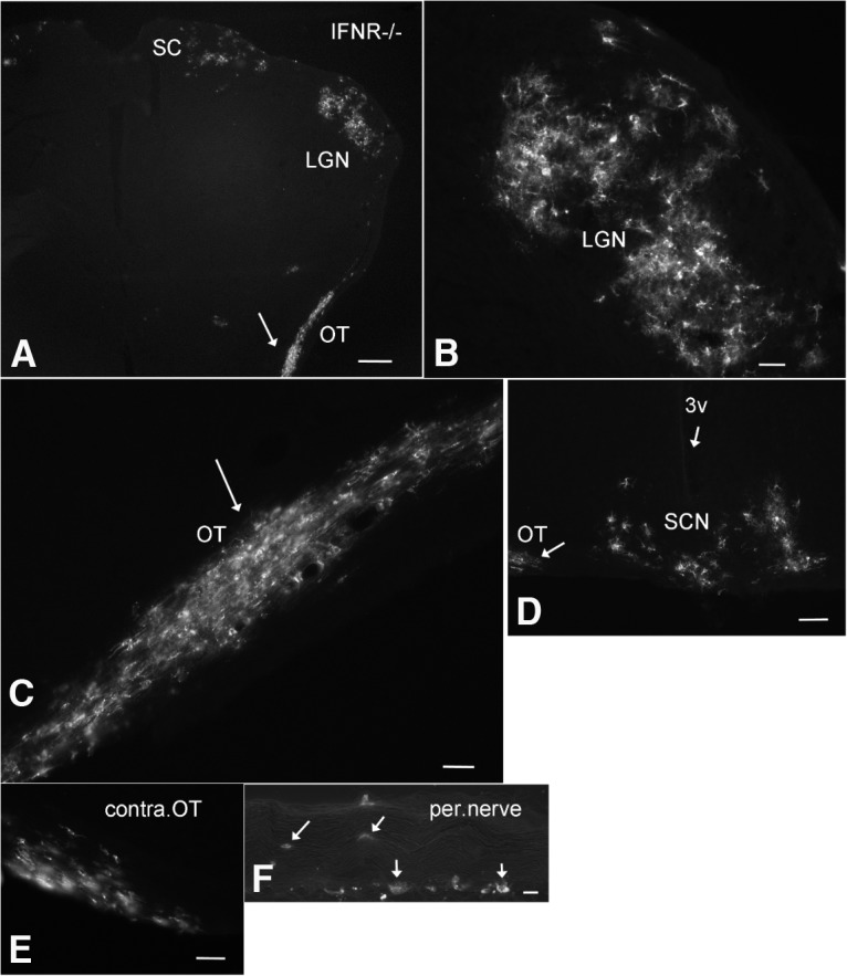 Figure 10.