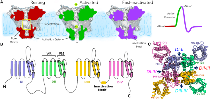 Figure 1