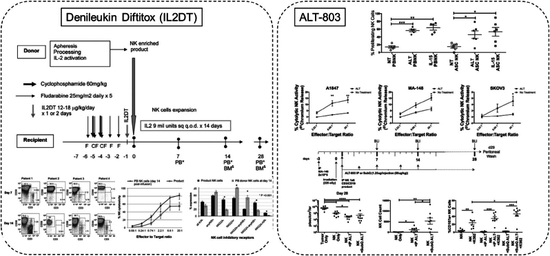 Fig. 10
