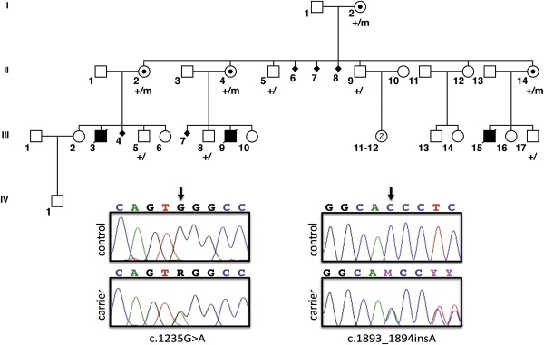 Figure 1