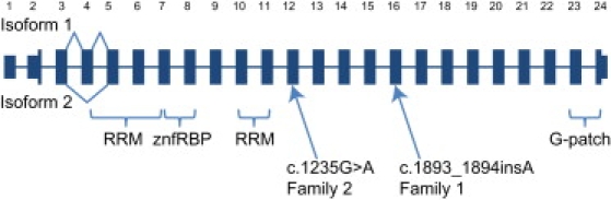 Figure 2