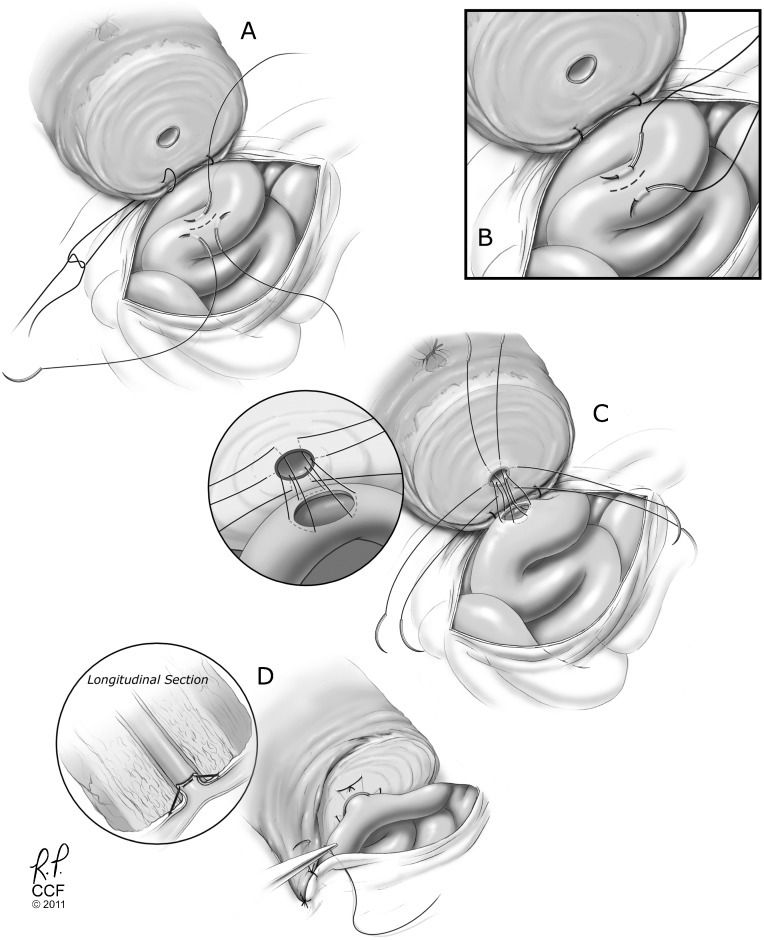 Figure 8