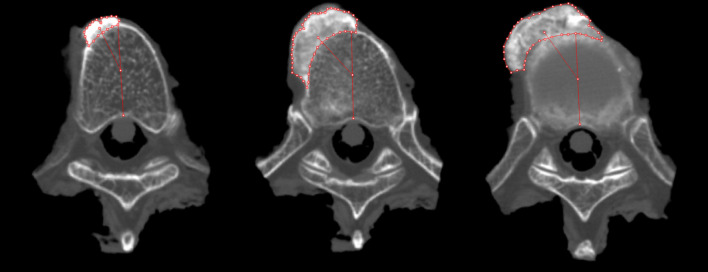 Fig. 3