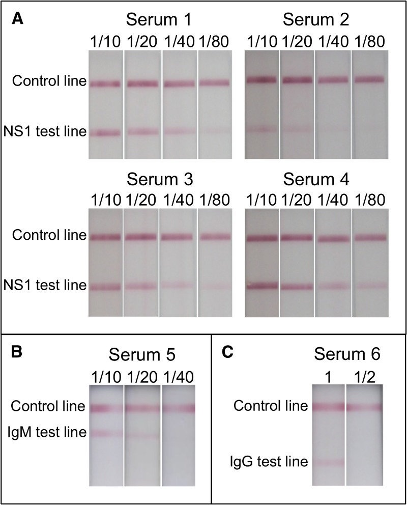 Figure 3.