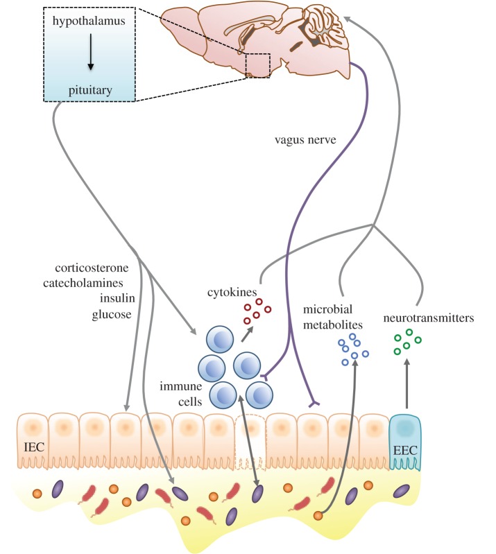 Figure 1.