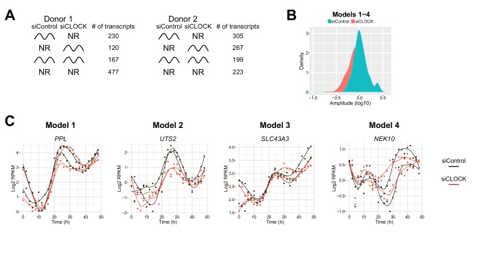 Figure 4—figure supplement 1.