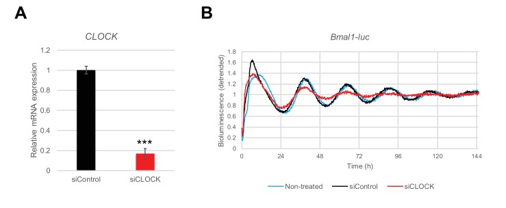 Figure 2—figure supplement 2.