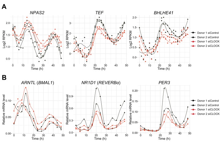 Figure 4—figure supplement 2.