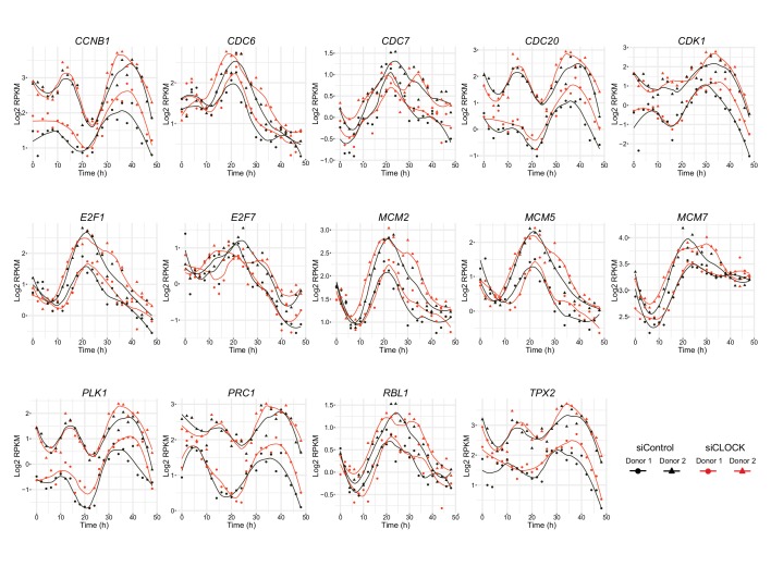 Figure 4—figure supplement 3.