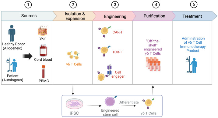 Figure 2