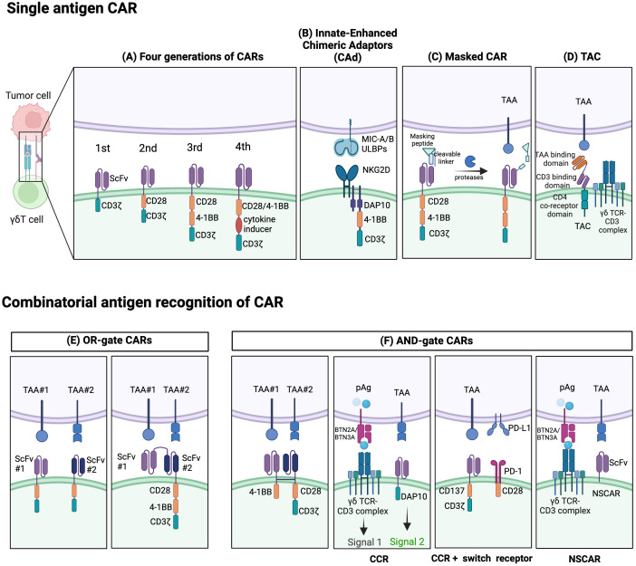 Figure 3