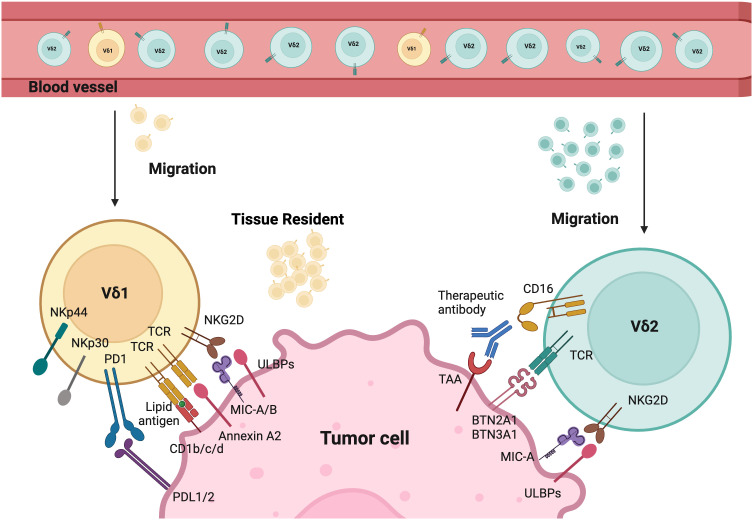 Figure 1