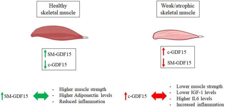 Figure 6