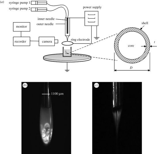 Figure 1.