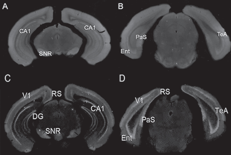 Fig.2