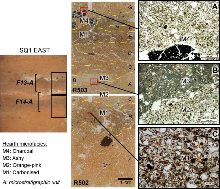 Fig. 7