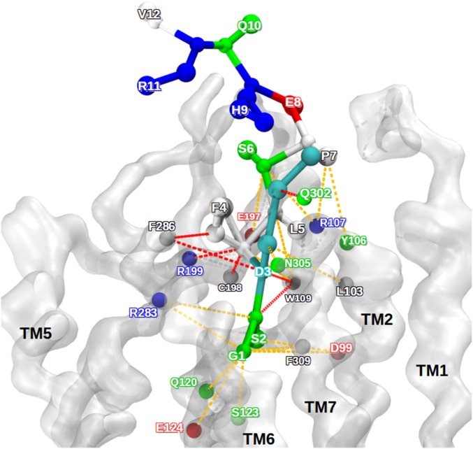 Fig. 6.