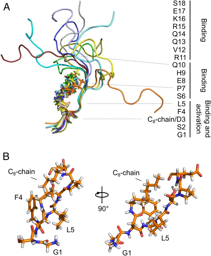 Fig. 3.