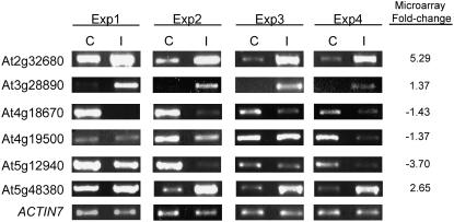 Figure 3.