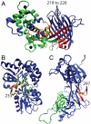 Fig. 5.