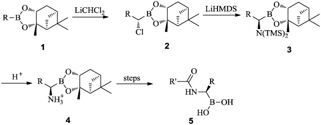 Scheme 1