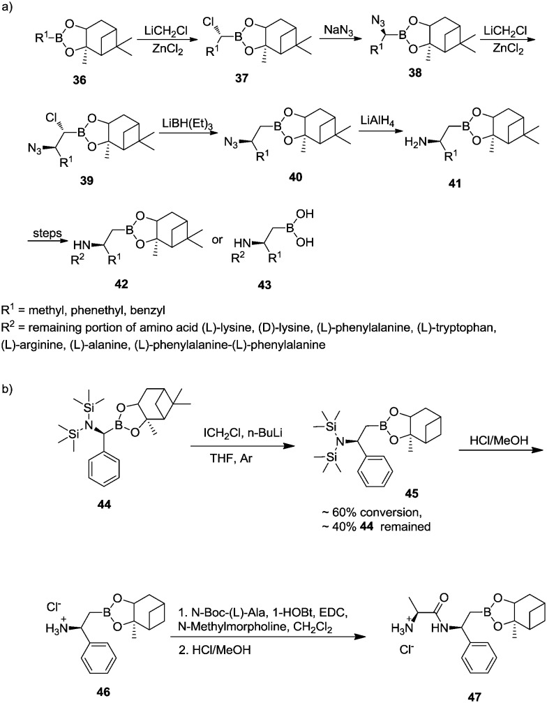 Scheme 6