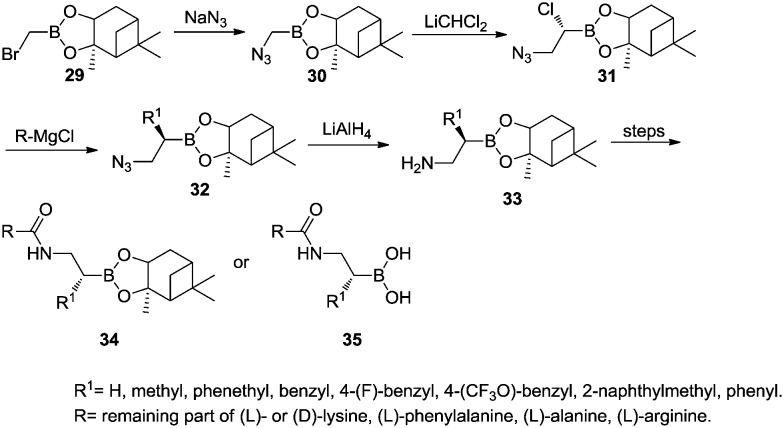 Scheme 5